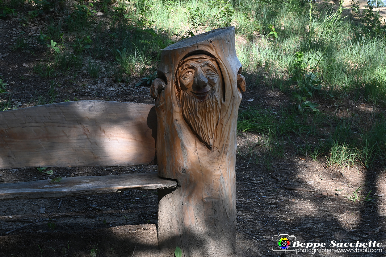 VBS_4713 - Il bosco fatato - Montaldo Roero.jpg